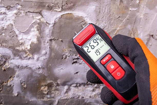 Best Affordable Mold Removal  in Mcmurray, PA