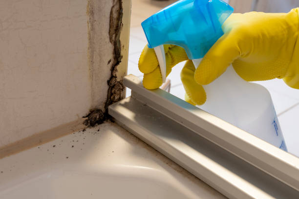 Best Mold Removal Near Me  in Mcmurray, PA
