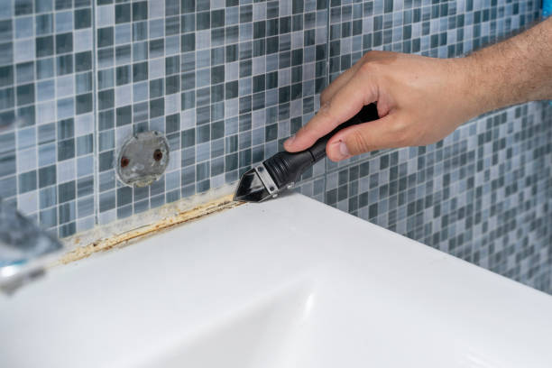 Best Fast Mold Removal  in Mcmurray, PA